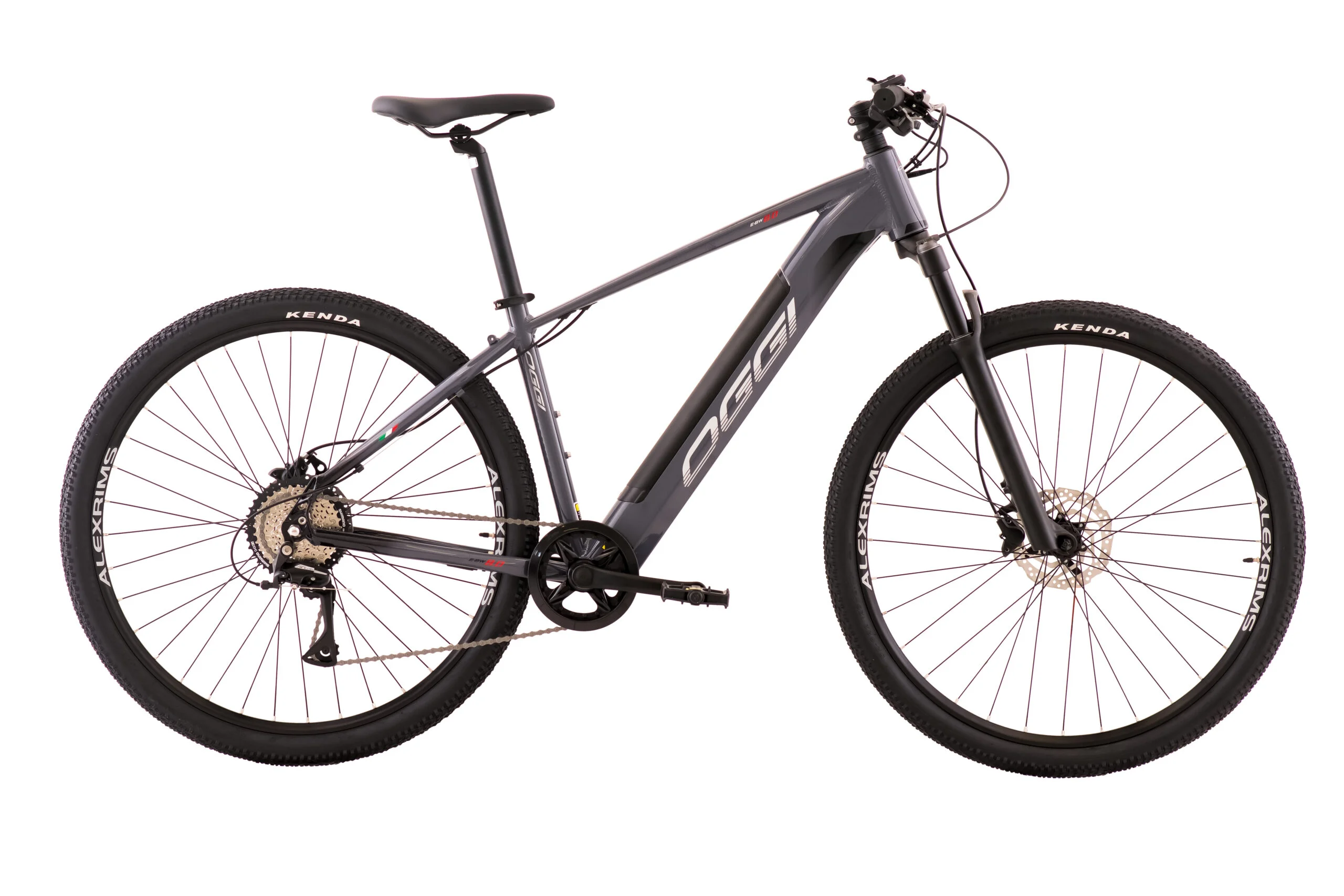 E-Bike Big Wheel 8.0 2024