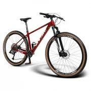 Bicicleta Carbono 29 Freio Hidráulico Shimano L-Twoo 1x13